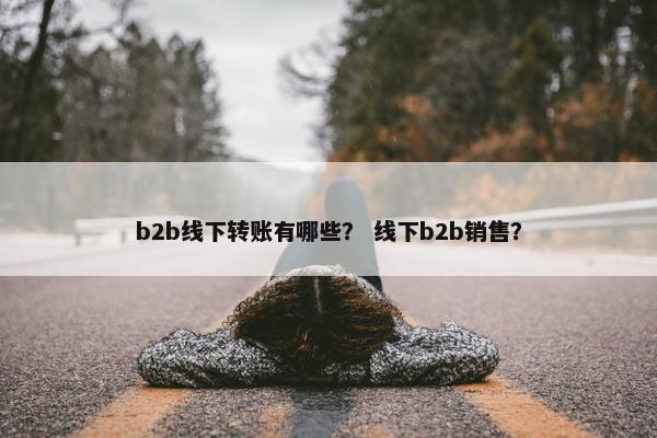b2b线下转账有哪些？ 线下b2b销售？