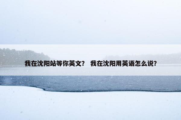 我在沈阳站等你英文？ 我在沈阳用英语怎么说？