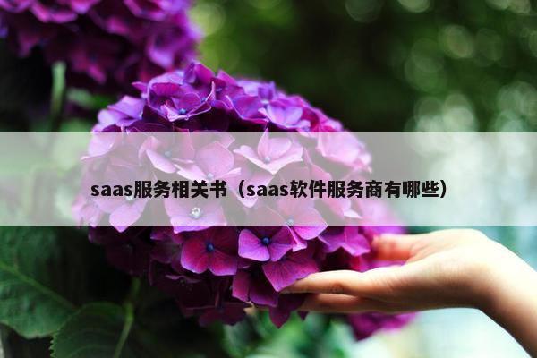 saas服务相关书（saas软件服务商有哪些）