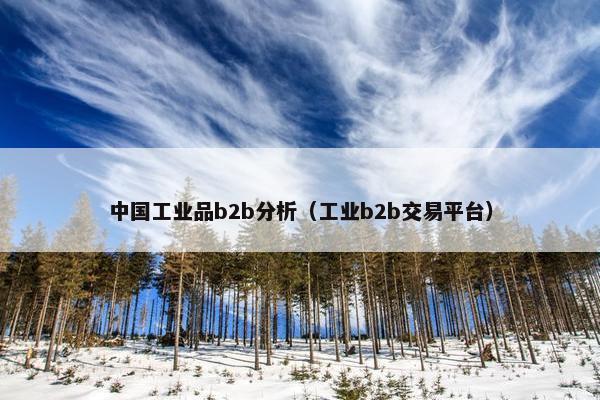 中国工业品b2b分析（工业b2b交易平台）