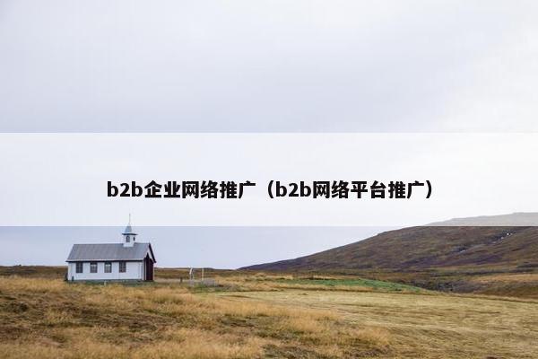 b2b企业网络推广（b2b网络平台推广）