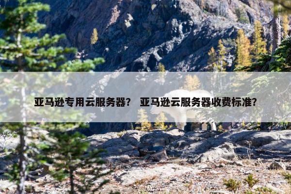亚马逊专用云服务器？ 亚马逊云服务器收费标准？