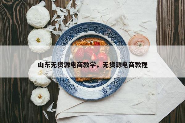 山东无货源电商教学，无货源电商教程