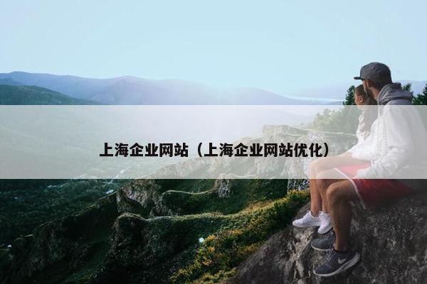 上海企业网站（上海企业网站优化）