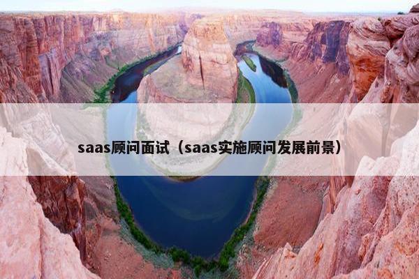 saas顾问面试（saas实施顾问发展前景）