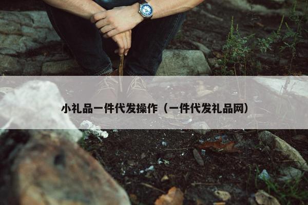 小礼品一件代发操作（一件代发礼品网）