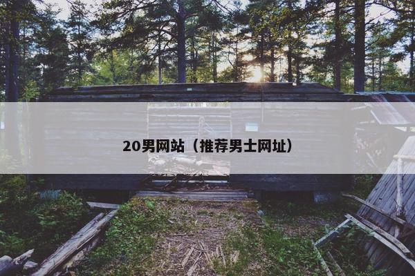 20男网站（推荐男士网址）
