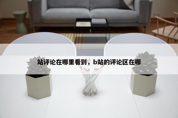 站评论在哪里看到，b站的评论区在哪