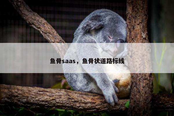 鱼骨saas，鱼骨状道路标线