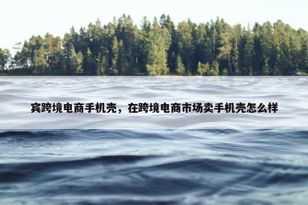 宾跨境电商手机壳，在跨境电商市场卖手机壳怎么样
