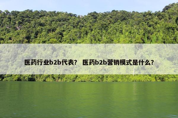 医药行业b2b代表？ 医药b2b营销模式是什么？