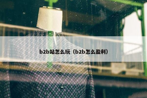 b2b站怎么玩（b2b怎么盈利）