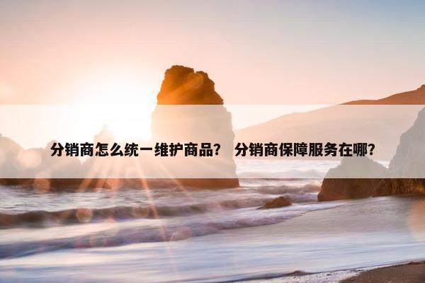 分销商怎么统一维护商品？ 分销商保障服务在哪？