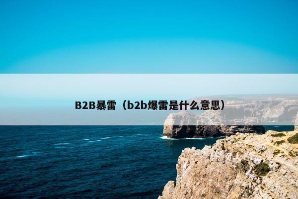 B2B暴雷（b2b爆雷是什么意思）