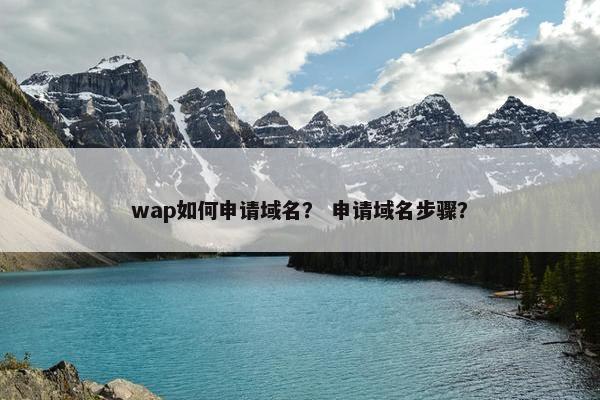 wap如何申请域名？ 申请域名步骤？