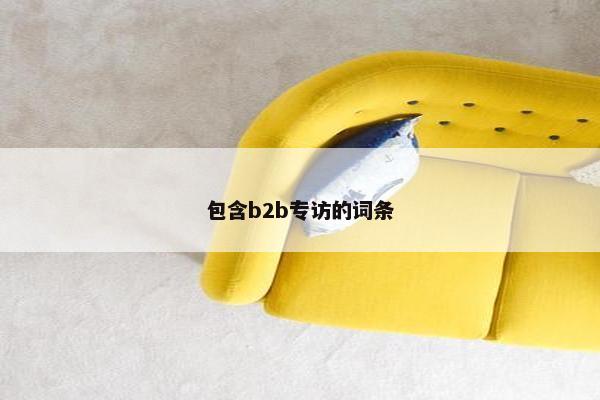 包含b2b专访的词条