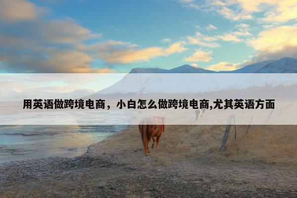 用英语做跨境电商，小白怎么做跨境电商,尤其英语方面