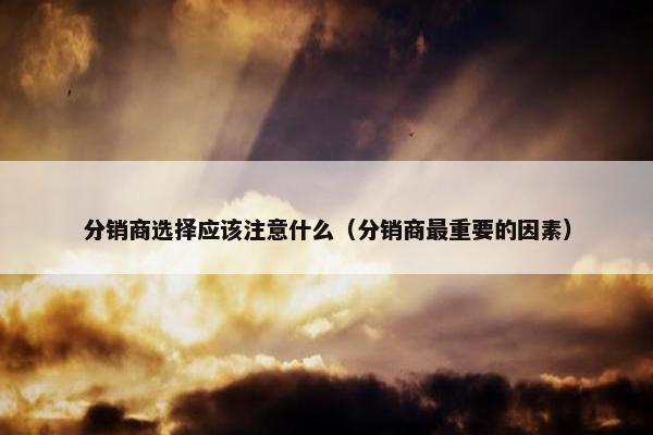 分销商选择应该注意什么（分销商最重要的因素）