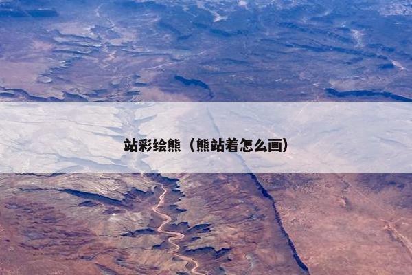 站彩绘熊（熊站着怎么画）