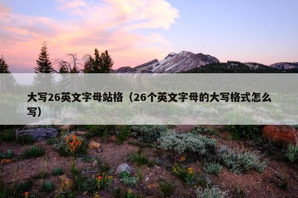 大写26英文字母站格（26个英文字母的大写格式怎么写）