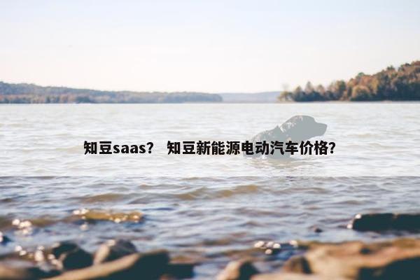 知豆saas？ 知豆新能源电动汽车价格？
