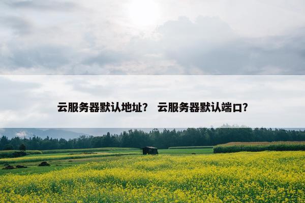 云服务器默认地址？ 云服务器默认端口？