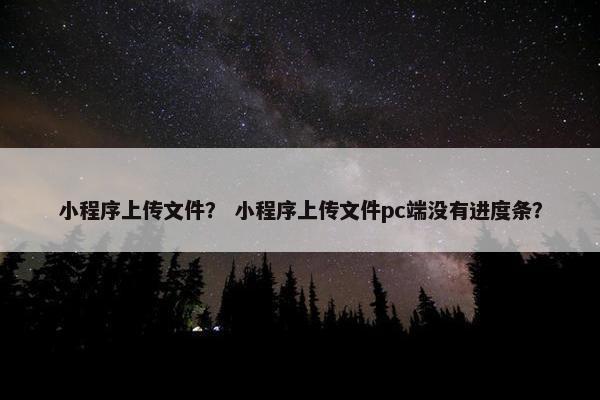 小程序上传文件？ 小程序上传文件pc端没有进度条？