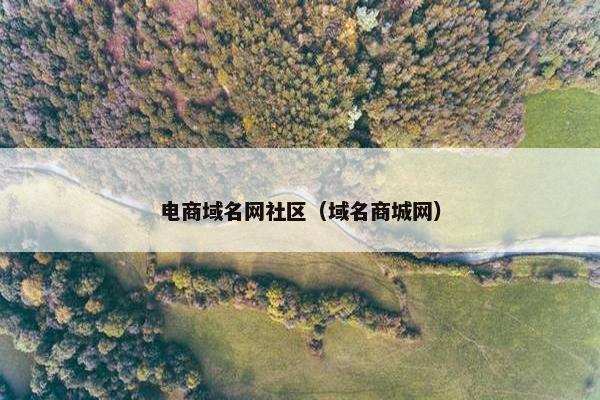 电商域名网社区（域名商城网）