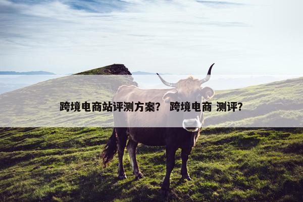跨境电商站评测方案？ 跨境电商 测评？