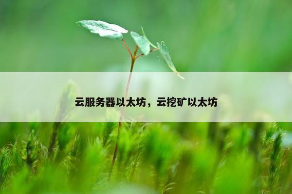 云服务器以太坊，云挖矿以太坊