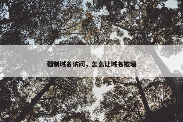 强制域名访问，怎么让域名被墙