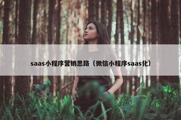 saas小程序营销思路（微信小程序saas化）