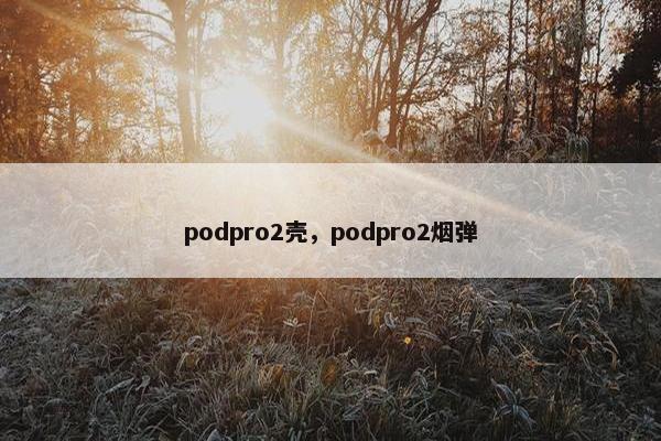 podpro2壳，podpro2烟弹