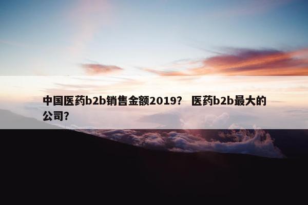中国医药b2b销售金额2019？ 医药b2b最大的公司？