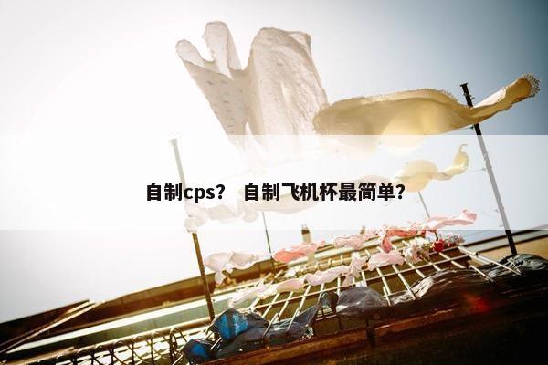自制cps？ 自制飞机杯最简单？