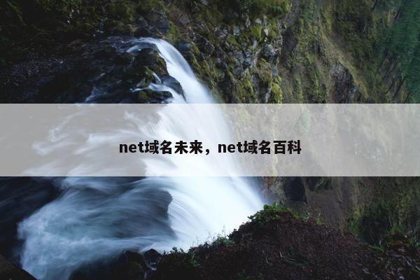 net域名未来，net域名百科