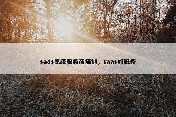 saas系统服务商培训，saas的服务