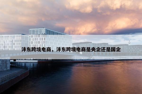 沣东跨境电商，沣东跨境电商是央企还是国企