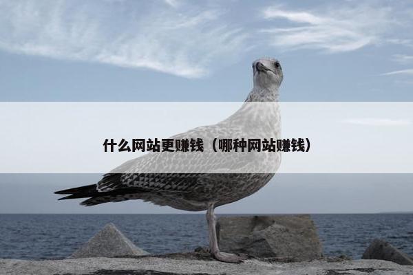 什么网站更赚钱（哪种网站赚钱）