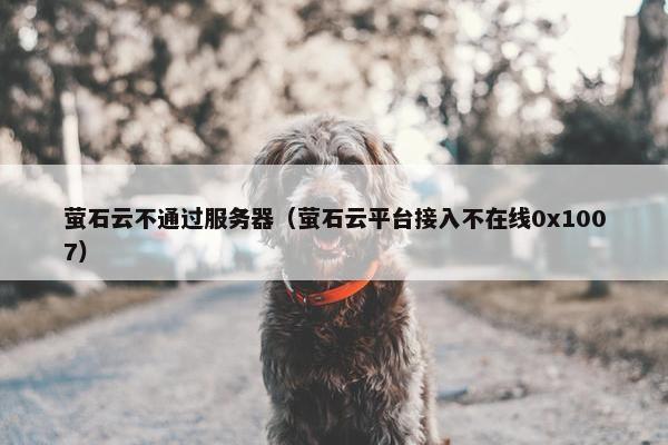 萤石云不通过服务器（萤石云平台接入不在线0x1007）