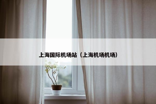 上海国际机场站（上海机场机场）