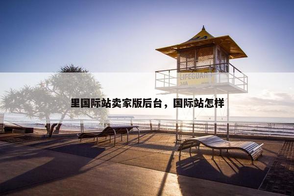 里国际站卖家版后台，国际站怎样