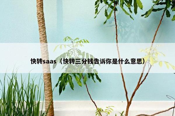 快转saas（快转三分钱告诉你是什么意思）