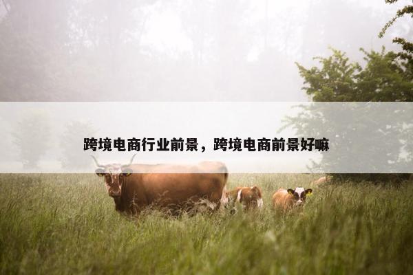 跨境电商行业前景，跨境电商前景好嘛