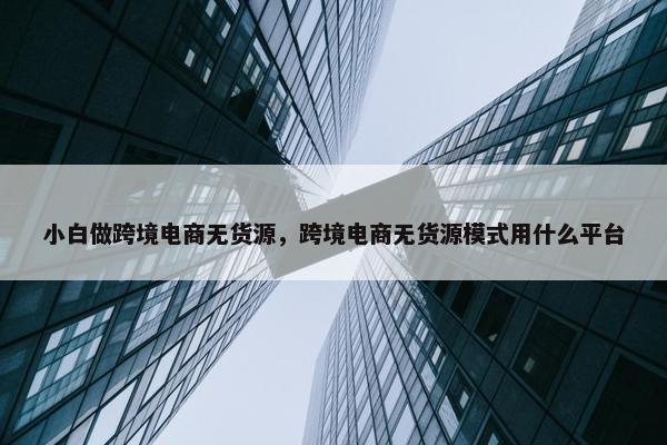 小白做跨境电商无货源，跨境电商无货源模式用什么平台