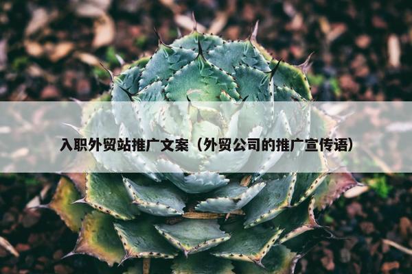 入职外贸站推广文案（外贸公司的推广宣传语）