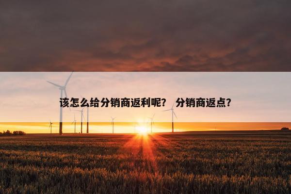 该怎么给分销商返利呢？ 分销商返点？