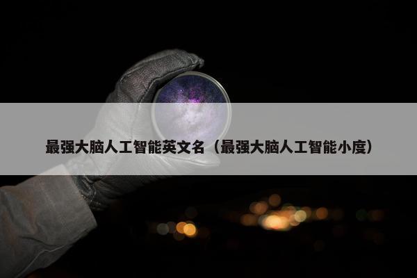 最强大脑人工智能英文名（最强大脑人工智能小度）
