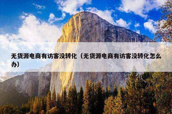 无货源电商有访客没转化（无货源电商有访客没转化怎么办）
