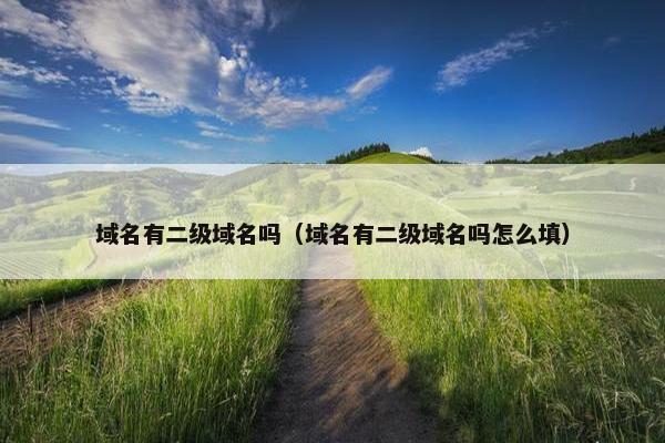 域名有二级域名吗（域名有二级域名吗怎么填）